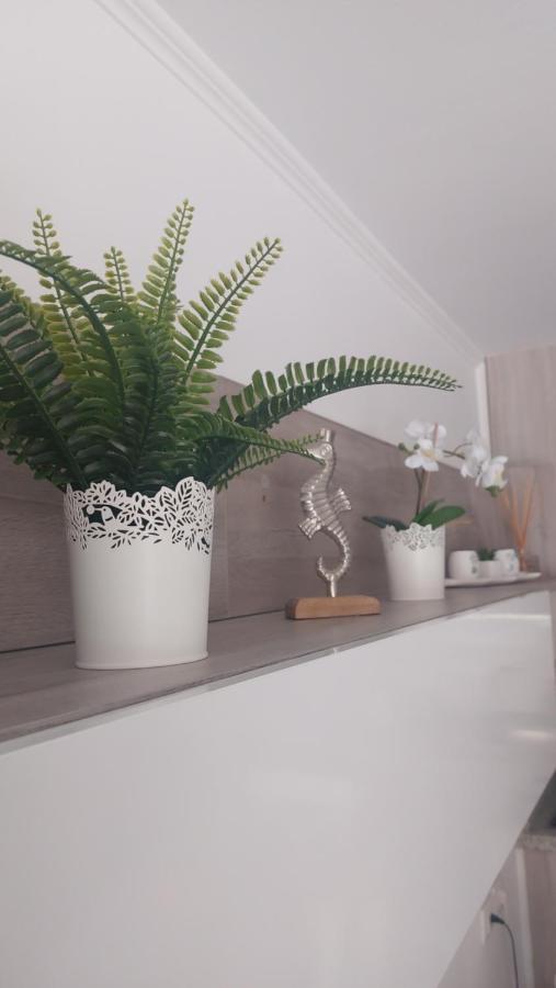 Apartamento Margarita Con Piscina En Playa Honda, Playa Las Americas Arona  Εξωτερικό φωτογραφία