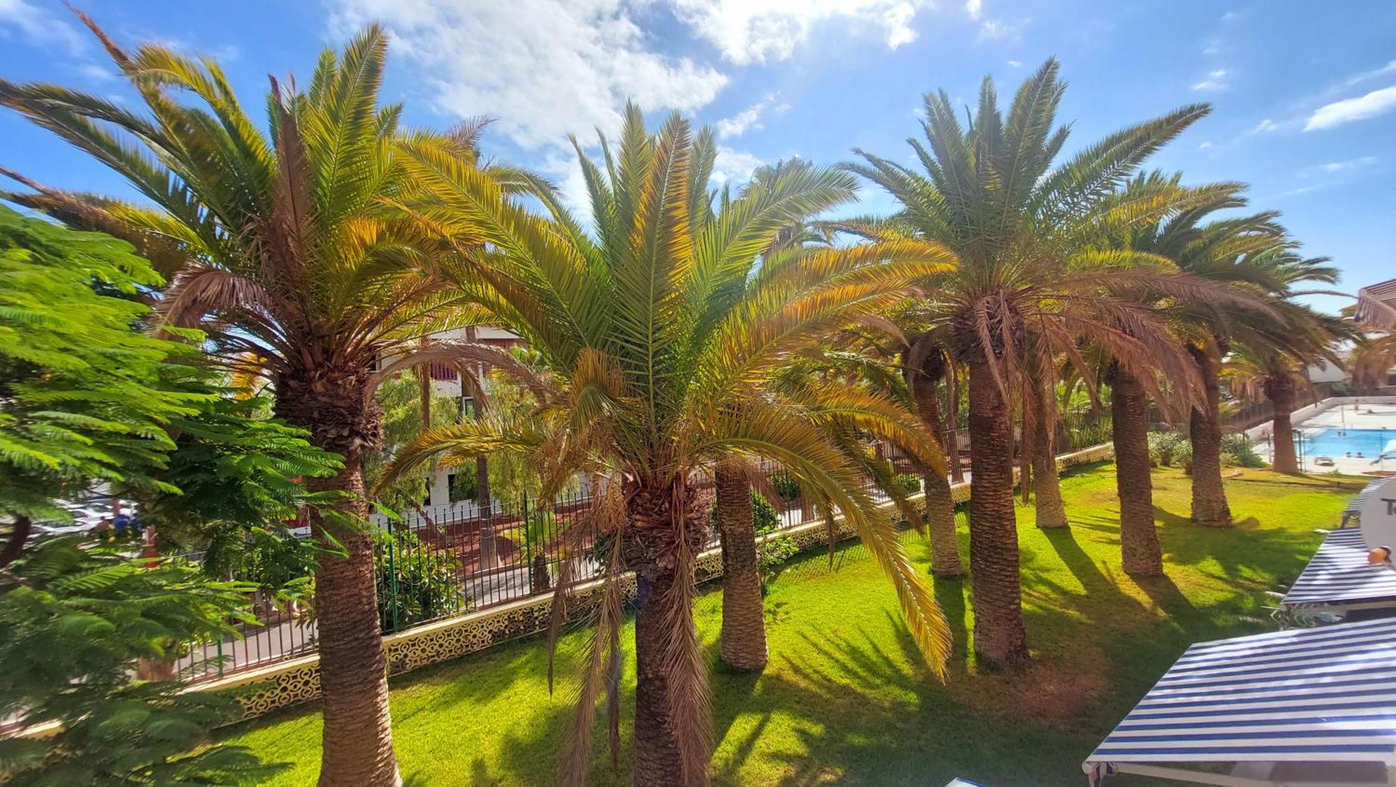 Apartamento Margarita Con Piscina En Playa Honda, Playa Las Americas Arona  Εξωτερικό φωτογραφία